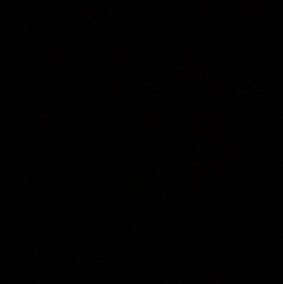 Meet your Posher, Emily - Picture 1 of 1